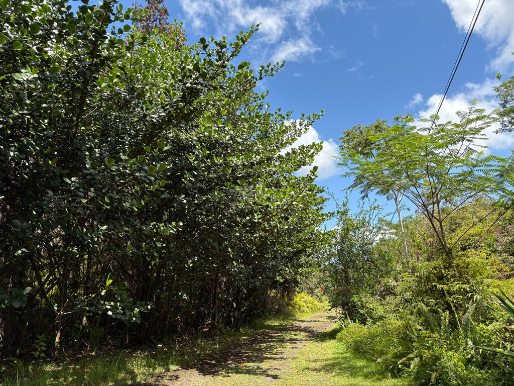 16-1432 Poouli Rd, Kurtistown