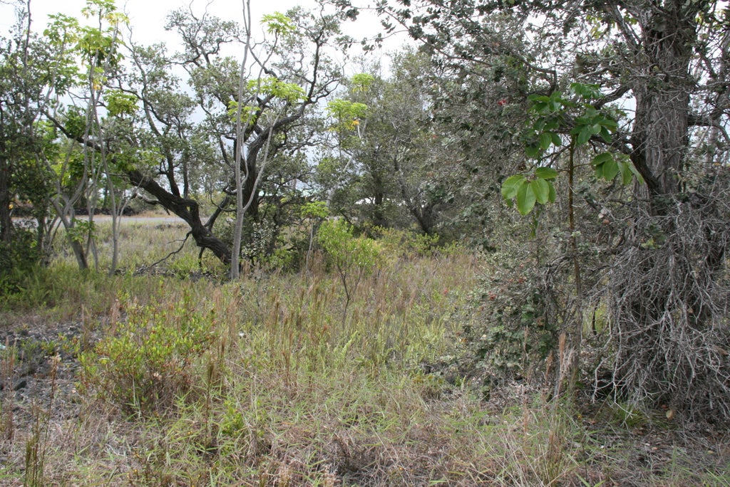 Iolani Ln, Ocean View