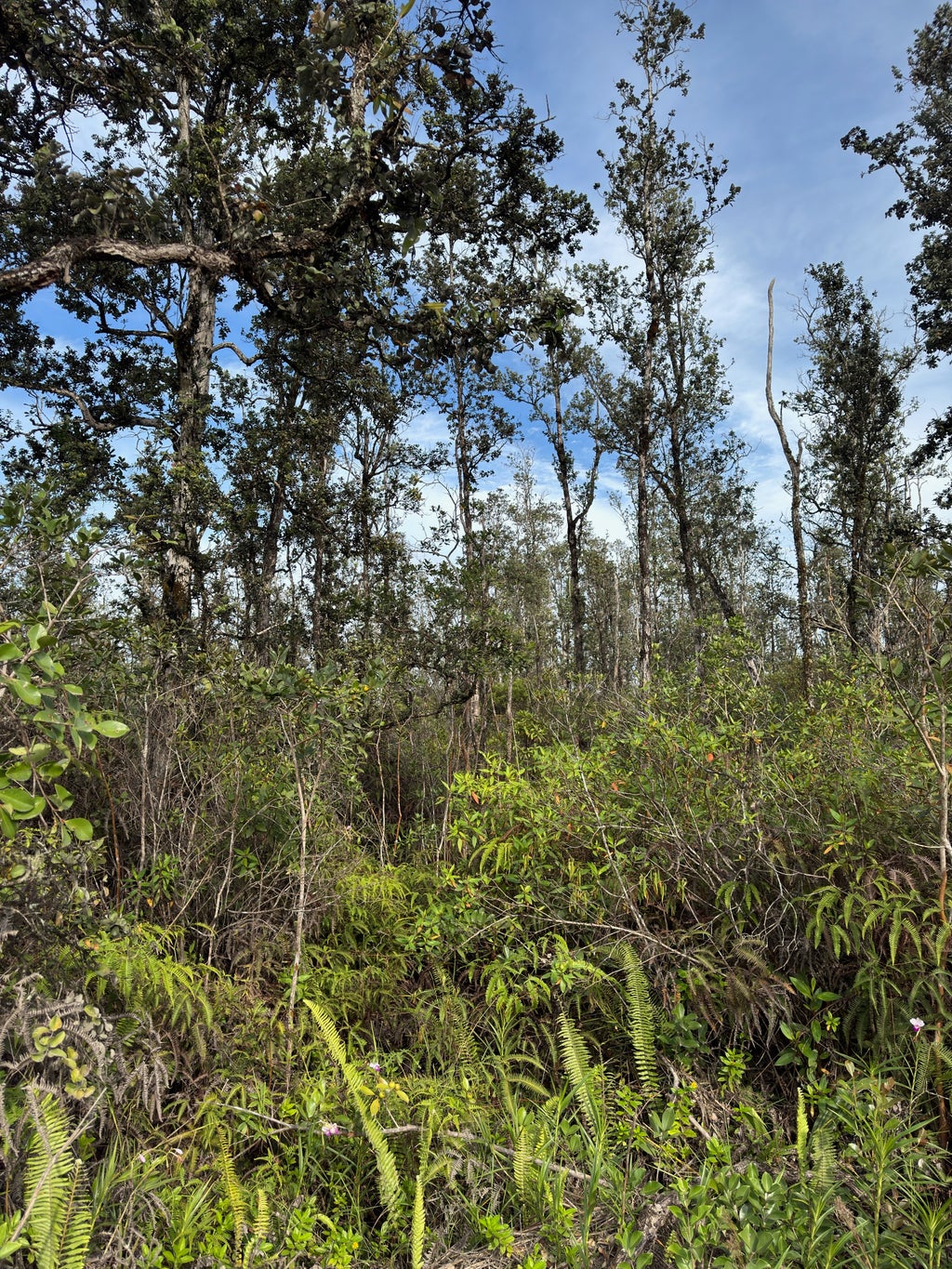 40th Ave, Kurtistown