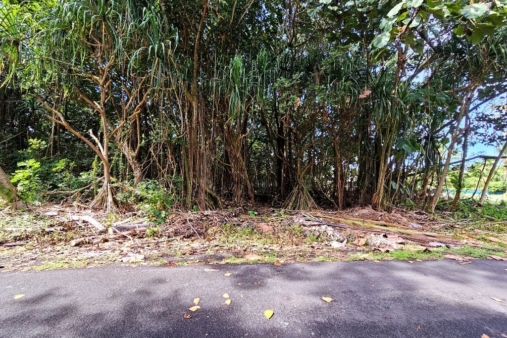 Papai St, Pahoa
