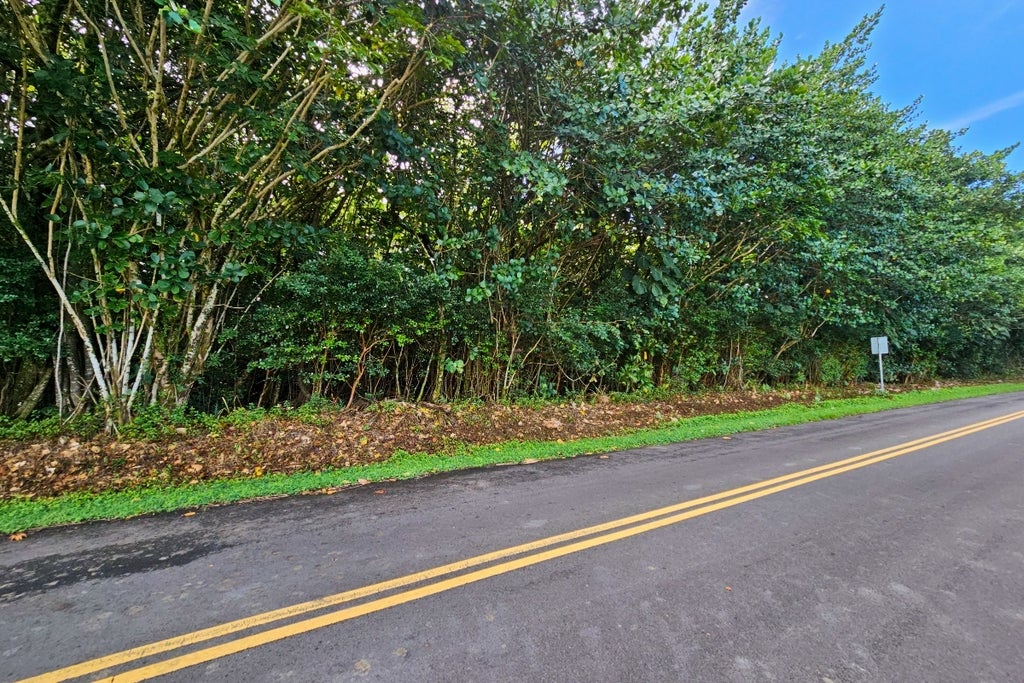 Puna Pkwy, Pahoa