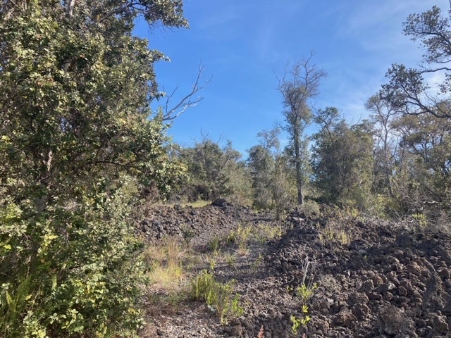 Paradise Pkwy, Ocean View