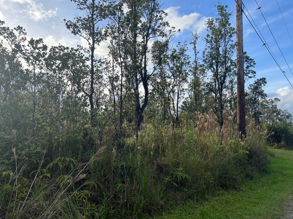 Mailenani Rd, Volcano