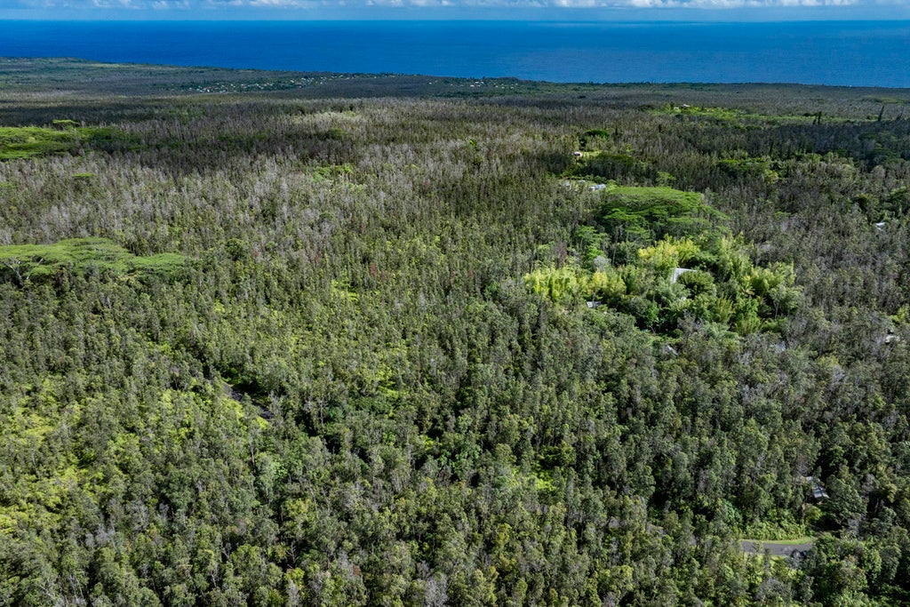 12-4235 Upper Puna Road, Pahoa