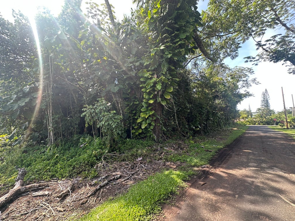 15-2716 Opelu St, Pahoa