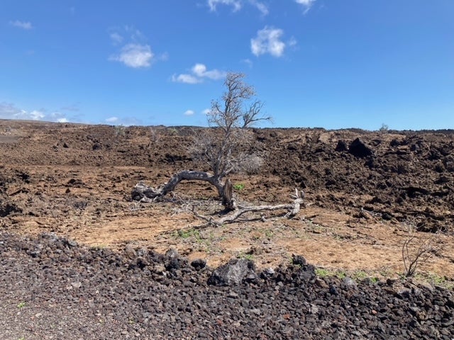 Kohala Blvd, Ocean View