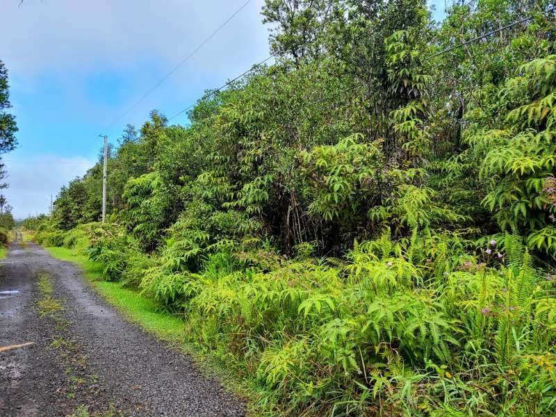 Malia Aina Rd, Volcano