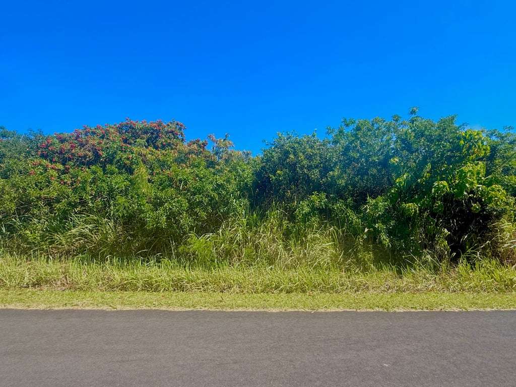 Lewa Lani St, Naalehu