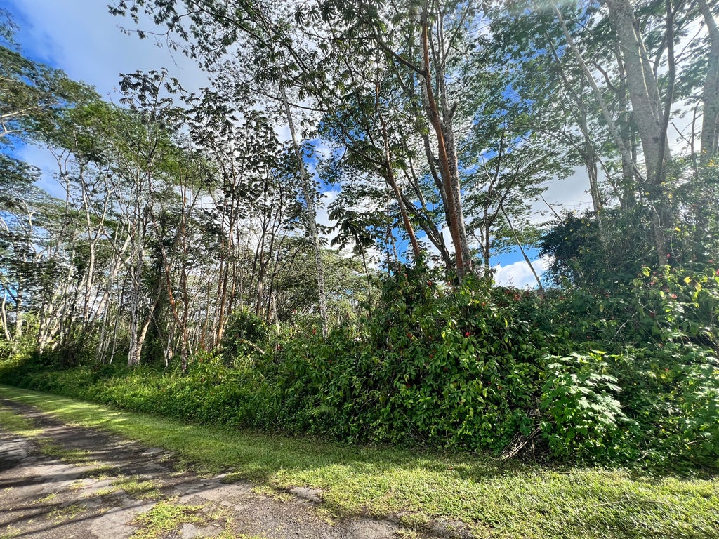 Plumeria Rd, Pahoa