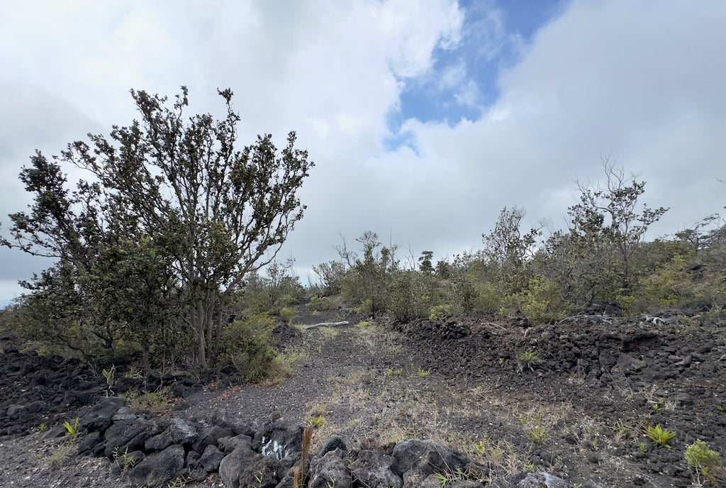 Reef Cir Makai, Ocean View