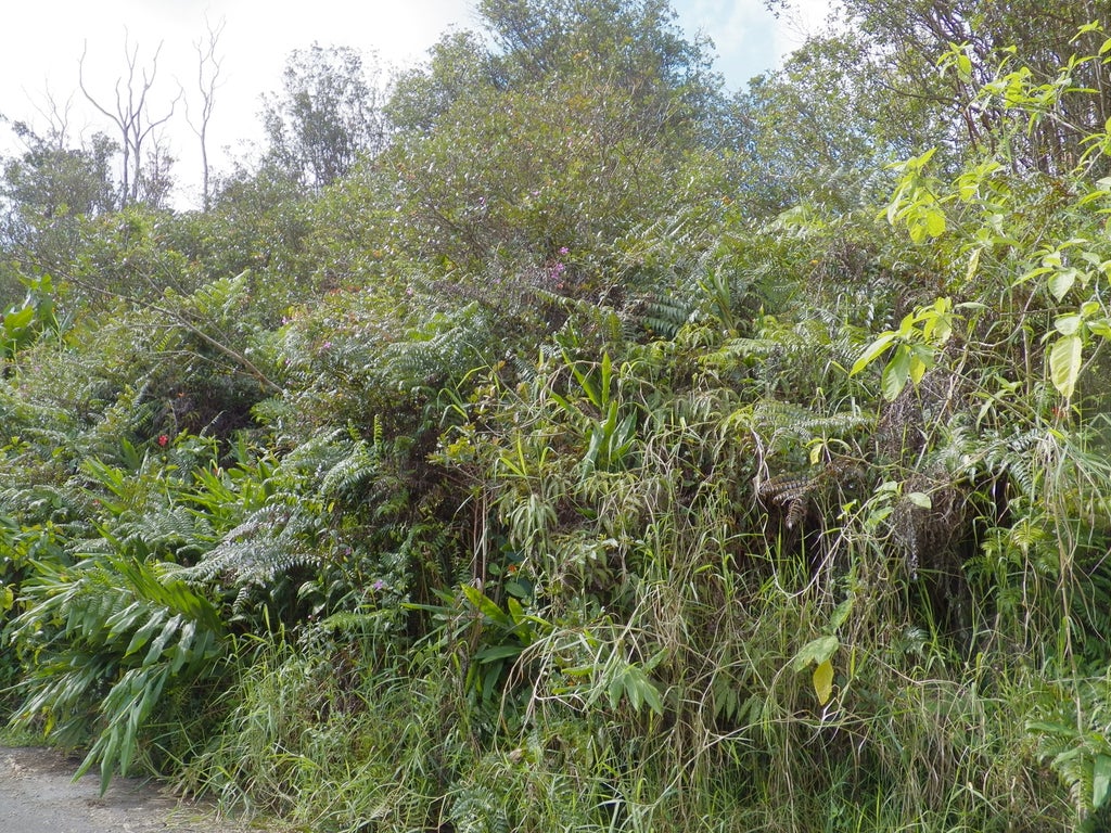 Hilohilo St, Volcano