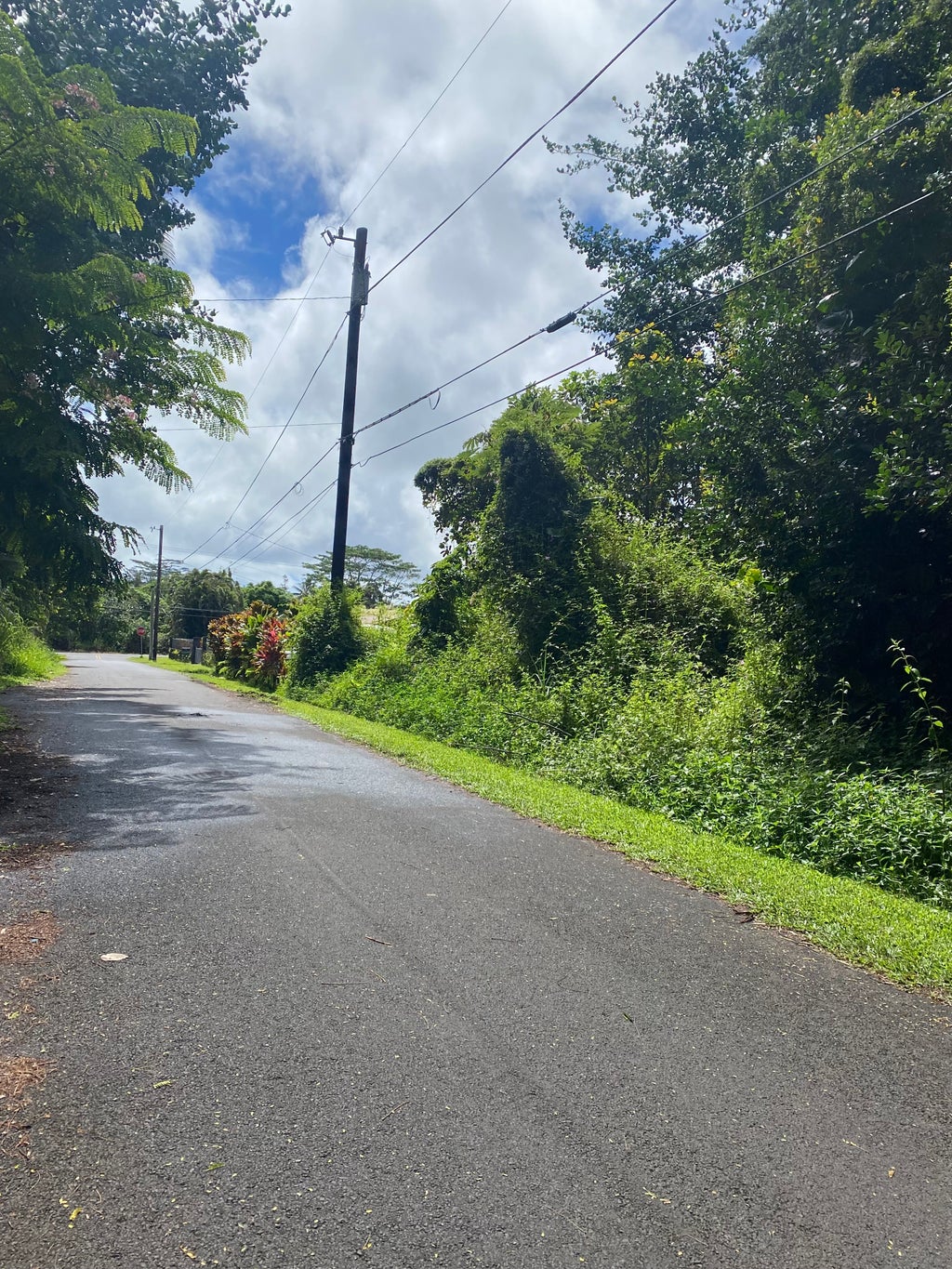 Heepali St, Pahoa