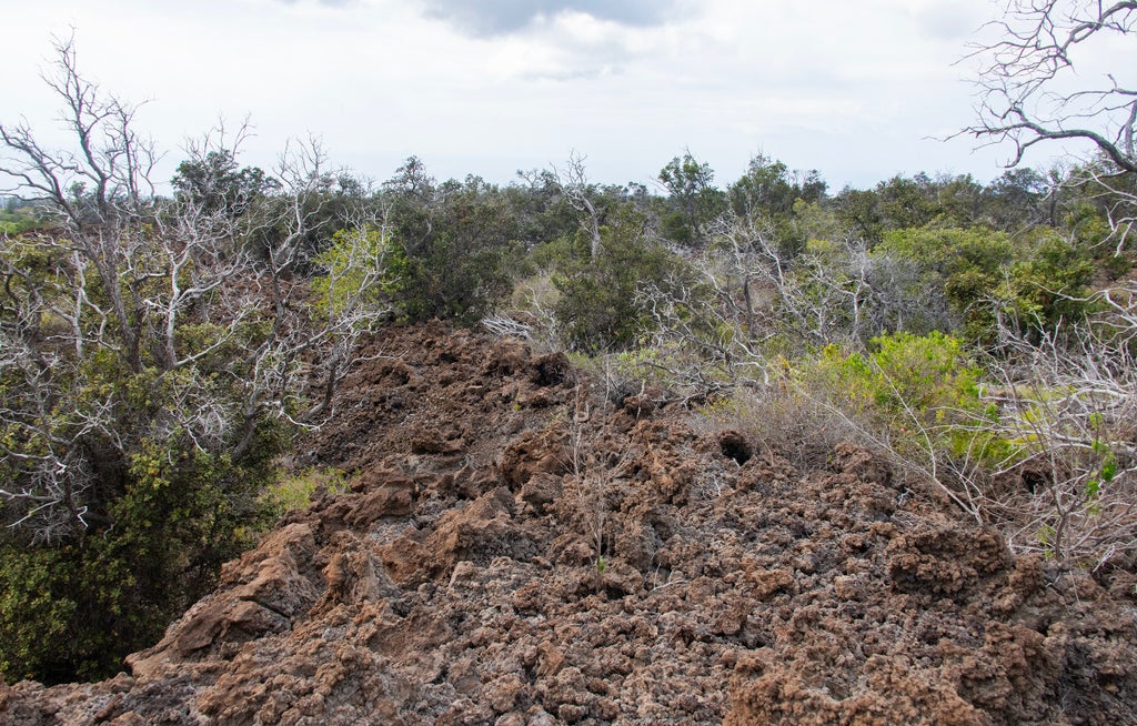 Kahili Blvd, Ocean View