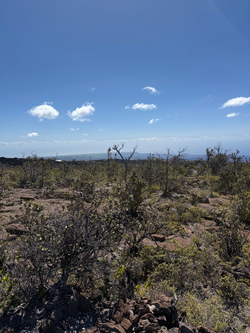 92-8520 Iwalani Circle Makai, Ocean View