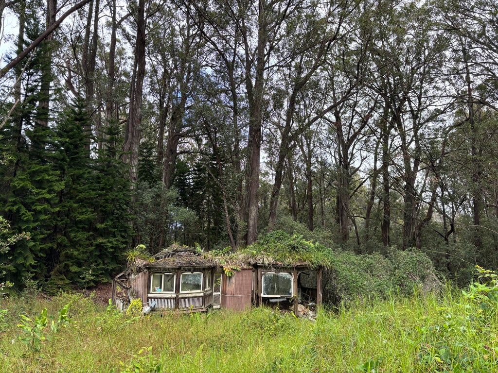 46-3989 Kapuna Rd, Honokaa