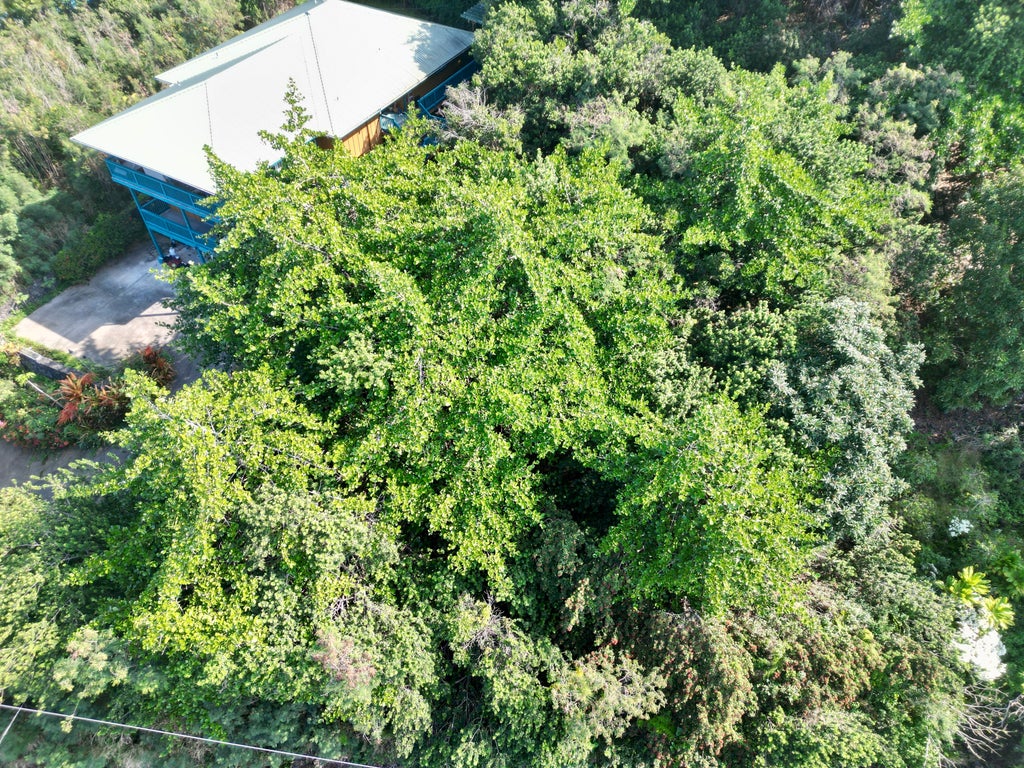 Kaohe Rd Lot 12, Captain Cook