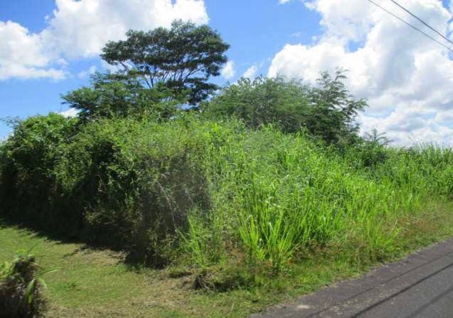 Lauko Rd, Mountain View