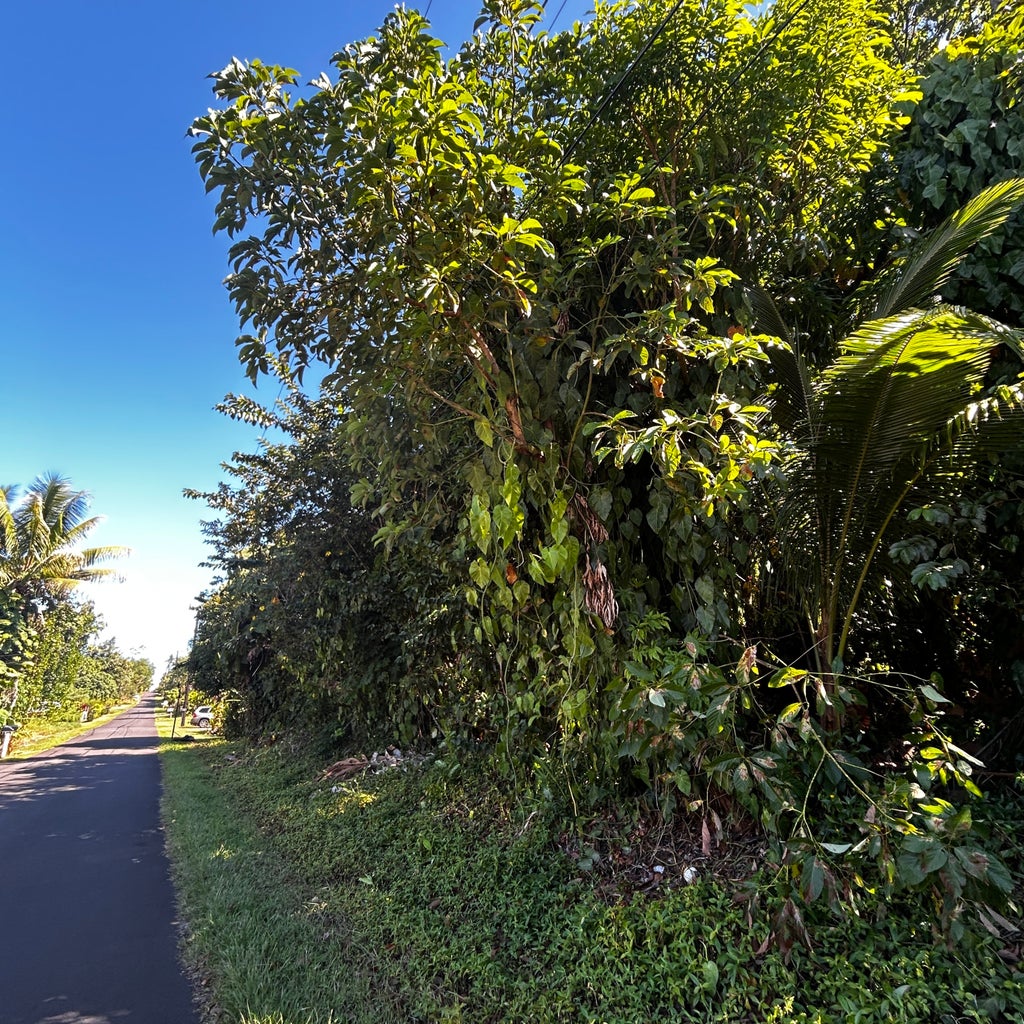Opae St, Pahoa