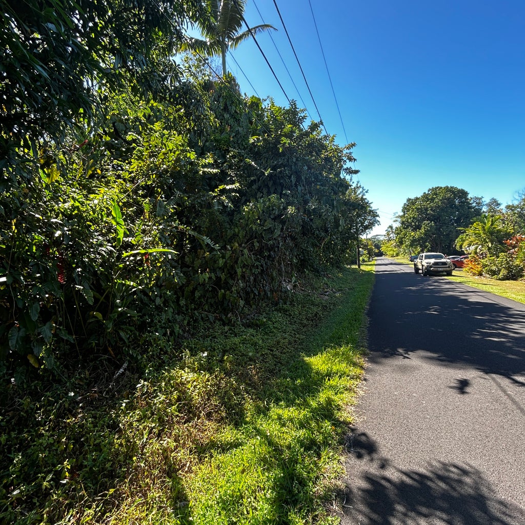 Opae St, Pahoa