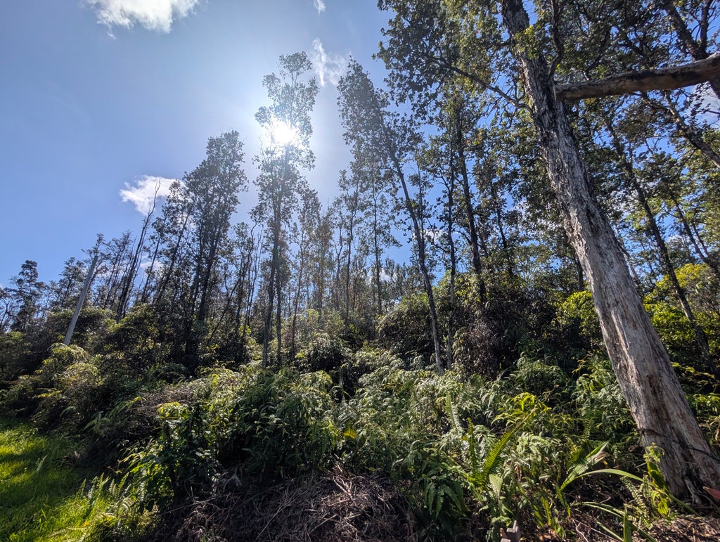 Aulii St, Kurtistown