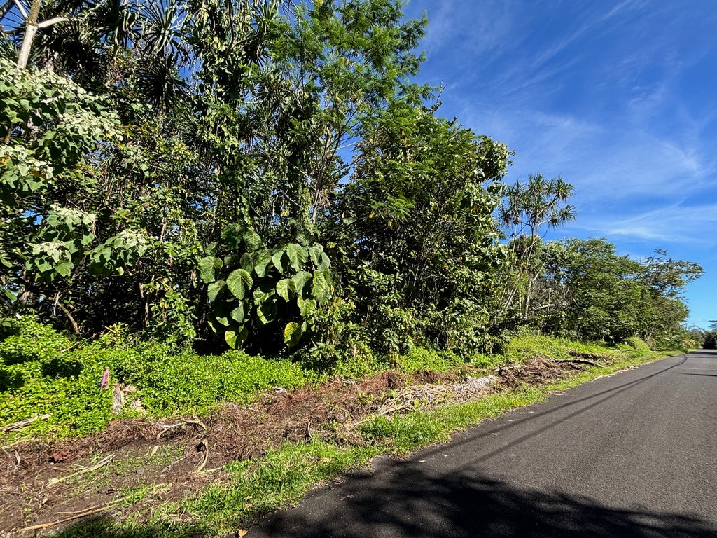 Oopu St, Pahoa