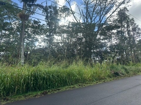 Moku St, Pahoa