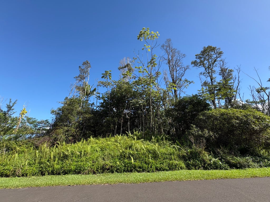 Heepali St, Pahoa