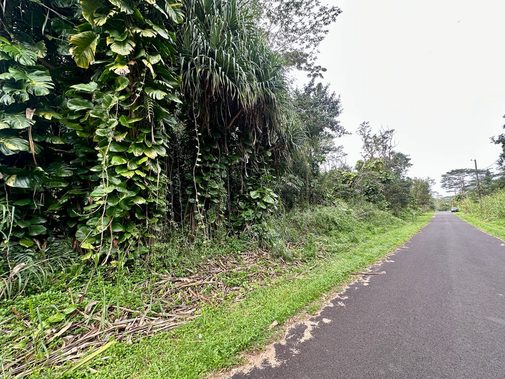 Moi St, Pahoa