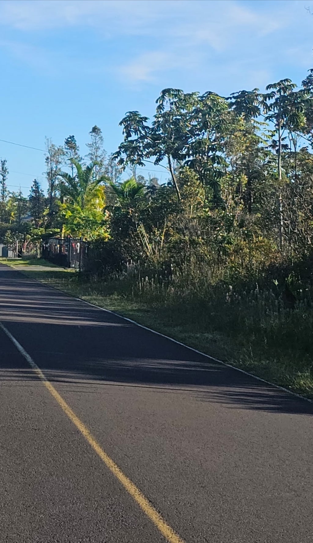 16-2056 Rainbow Dr, Pahoa