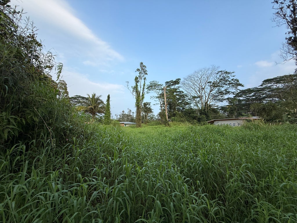Silversword Ct, Kurtistown