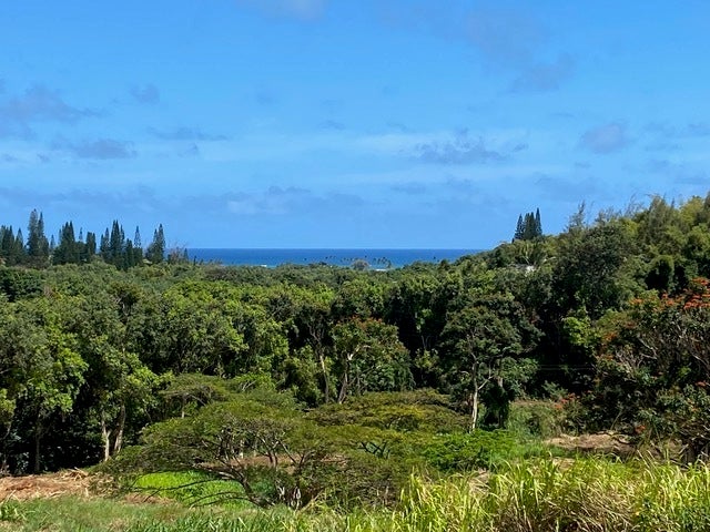 Kanaele Rd, Kapaa