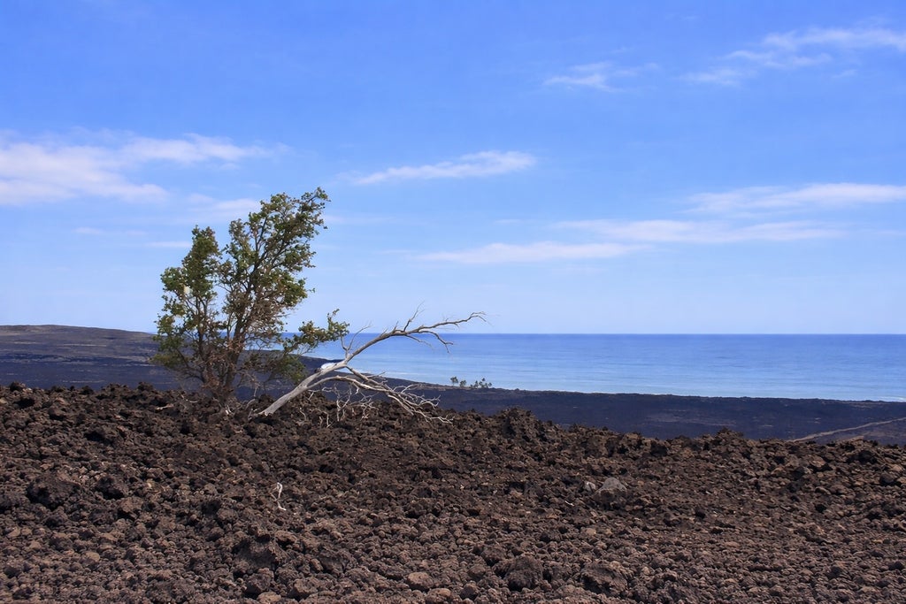 Prince Kuhio Blvd, Ocean View
