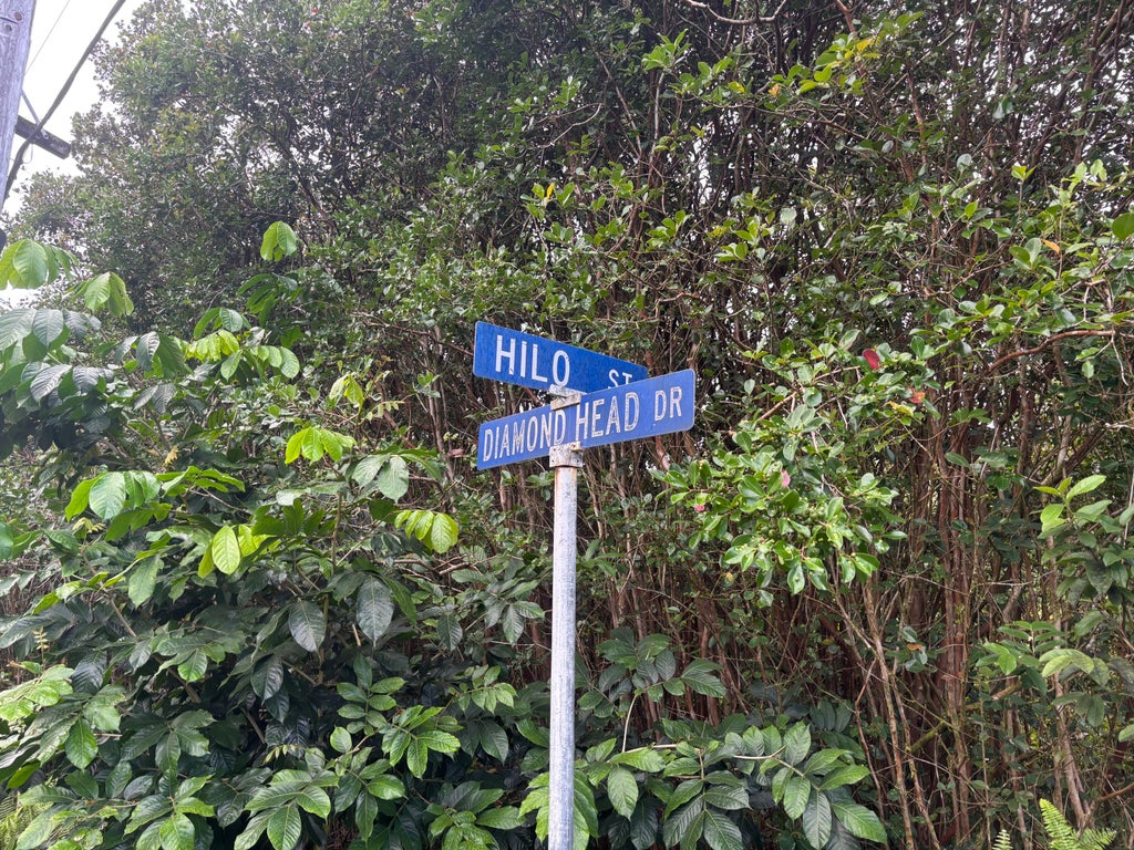 Hilo St, Pahoa