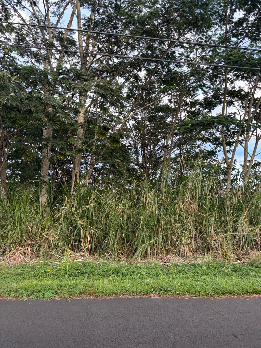 Hibiscus Dr, Pahoa