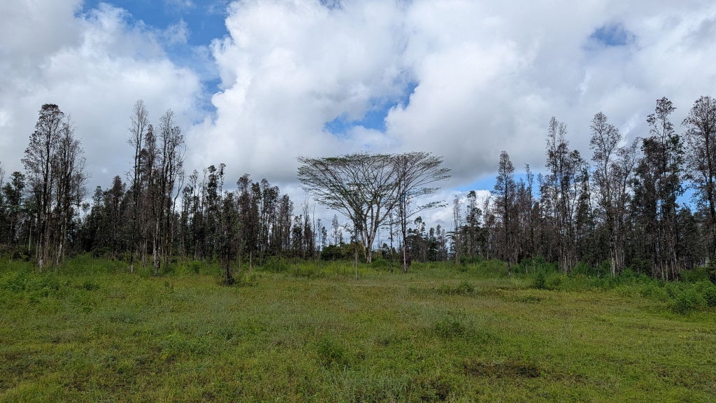 16-730 Aulii St, Keaau