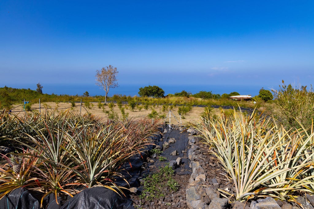 89-830 Pohulai Road, Captain Cook