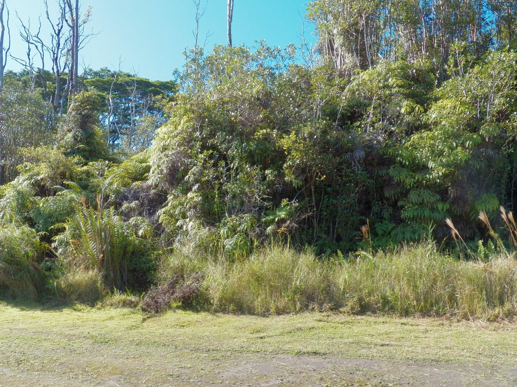 Holana St, Mountain View