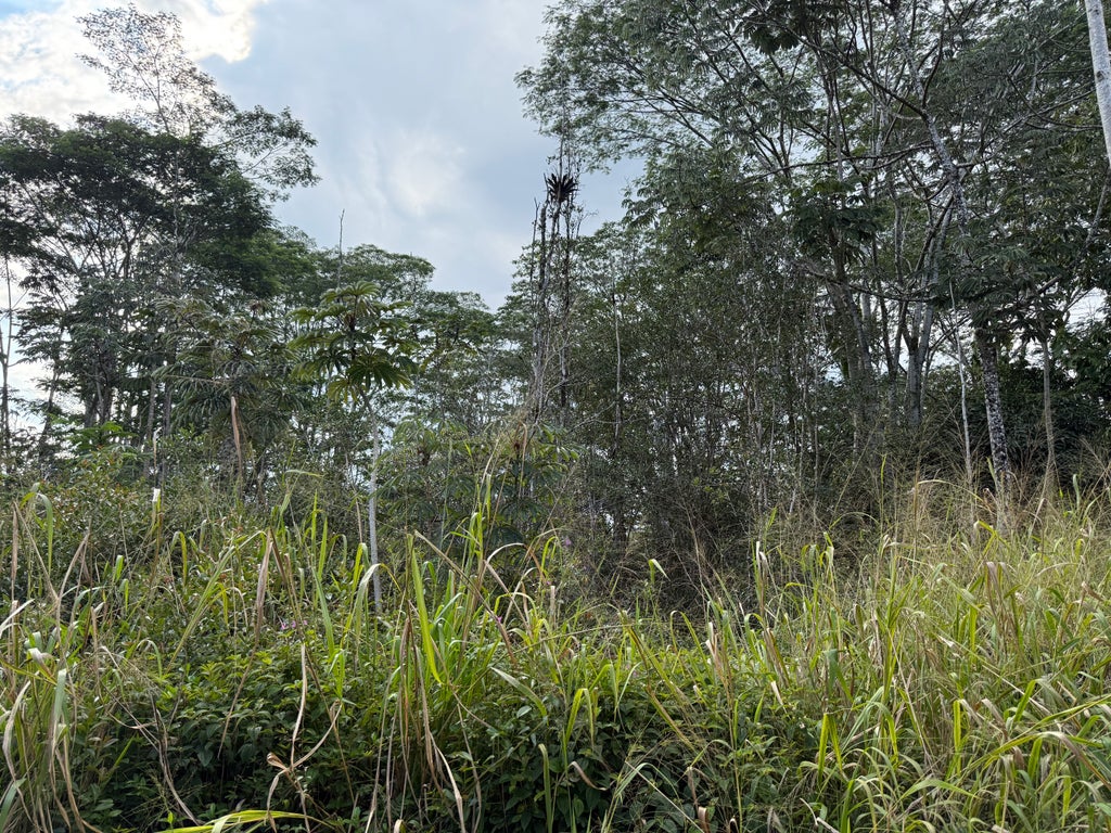 Sandalwood Ct, Kurtistown