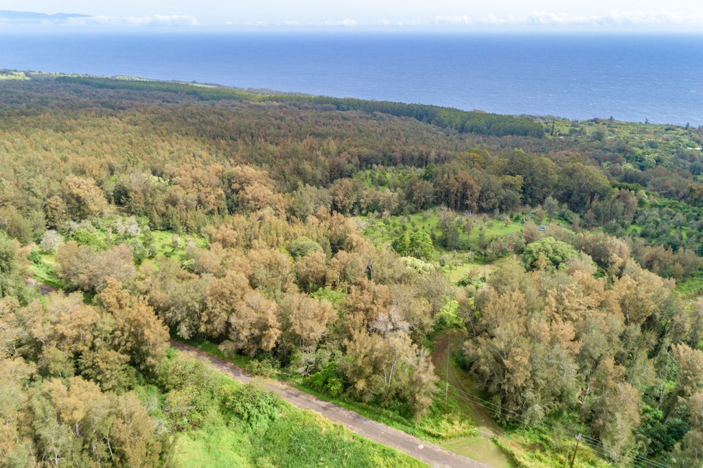 47-4630 Cane Haul Rd, Honokaa