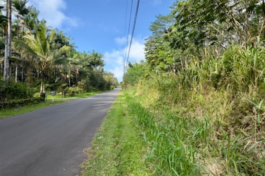Maile St, Pahoa