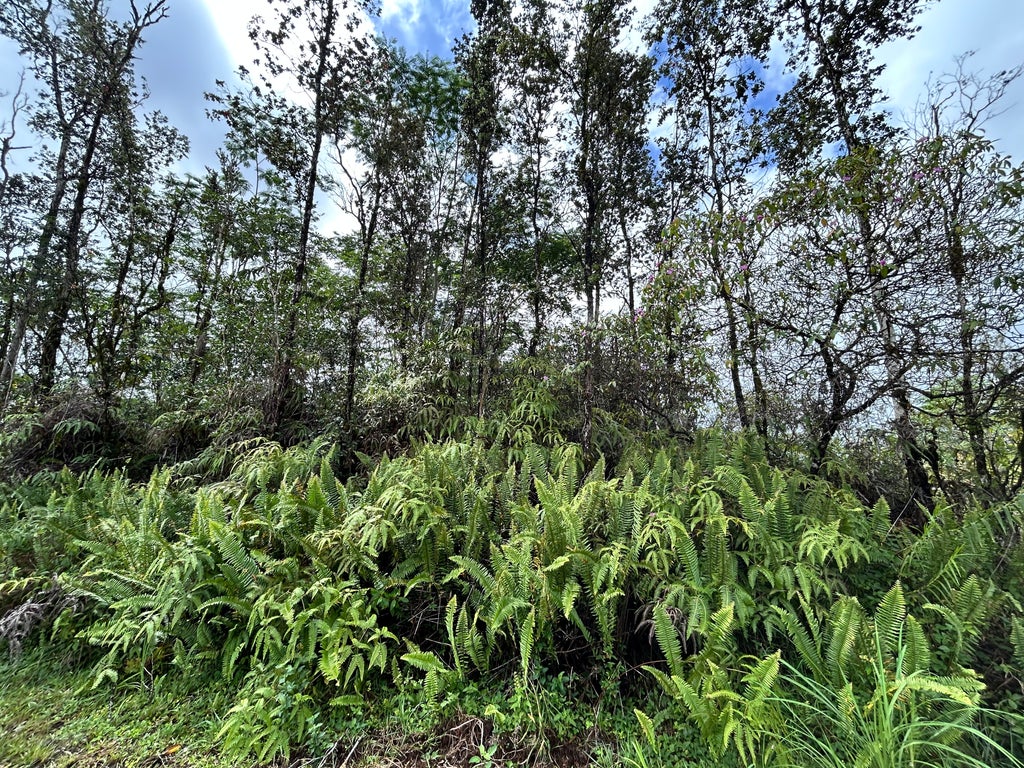 Aloha Ct, Kurtistown