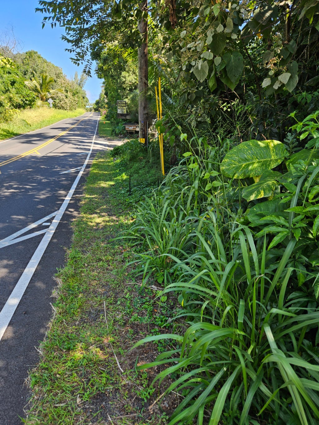 Likoliko Loop, Pahoa