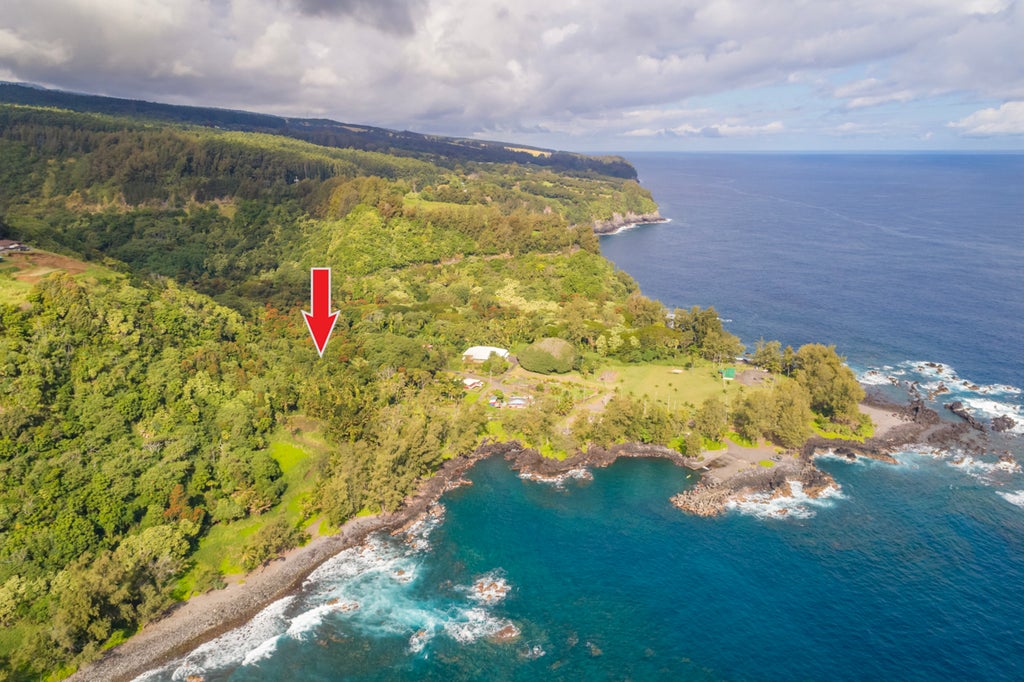 36-1070 Laupahoehoe Point Rd, Laupahoehoe