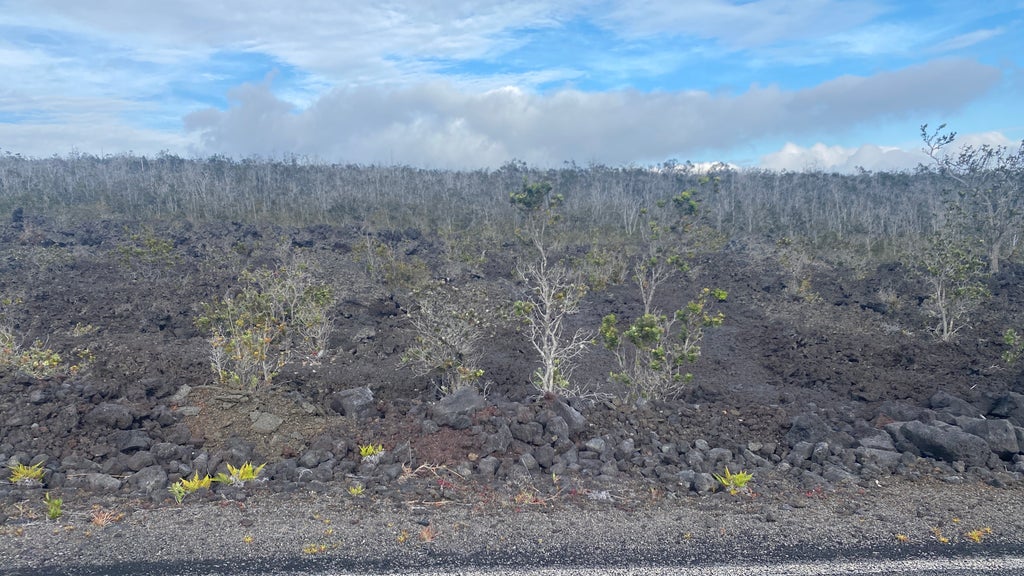 Trade Wind Blvd, Ocean View