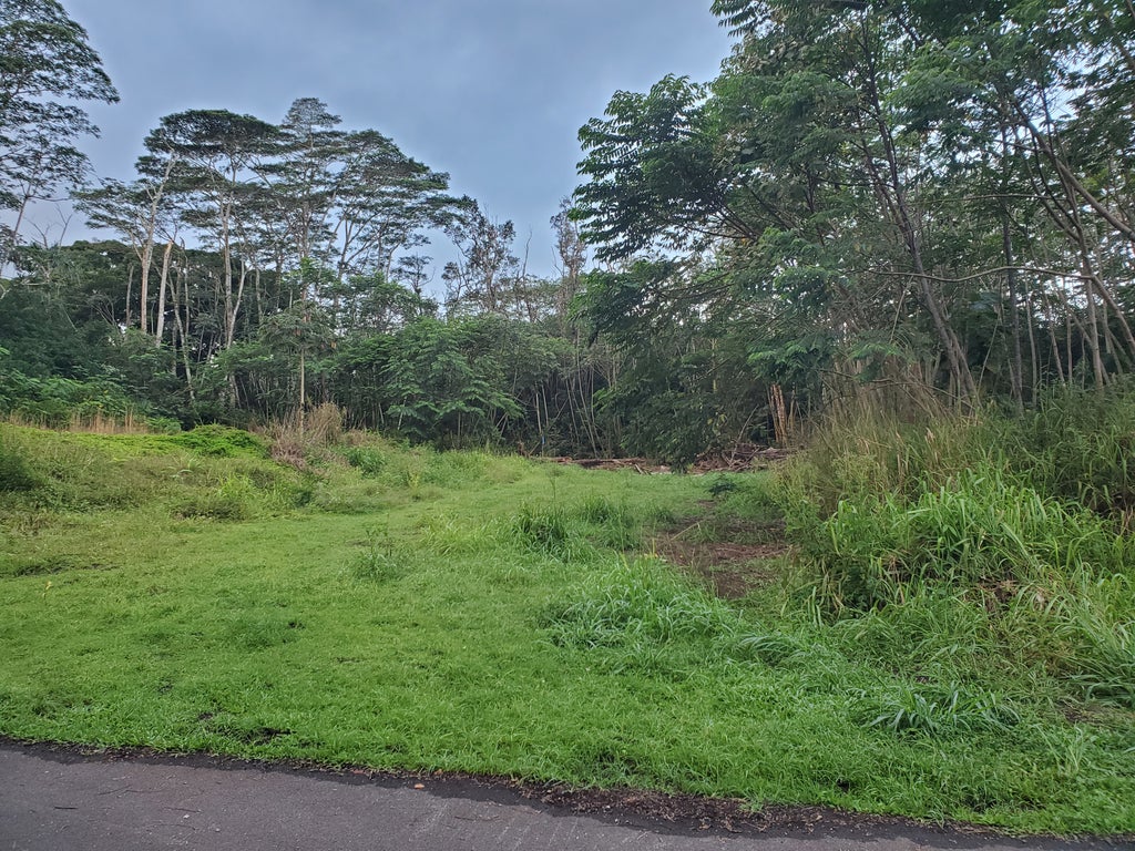 15-2778 Nehu St, Pahoa