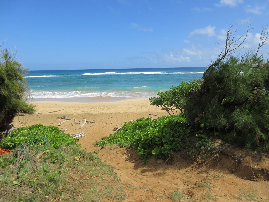 4460 Nehe Rd 118, Lihue