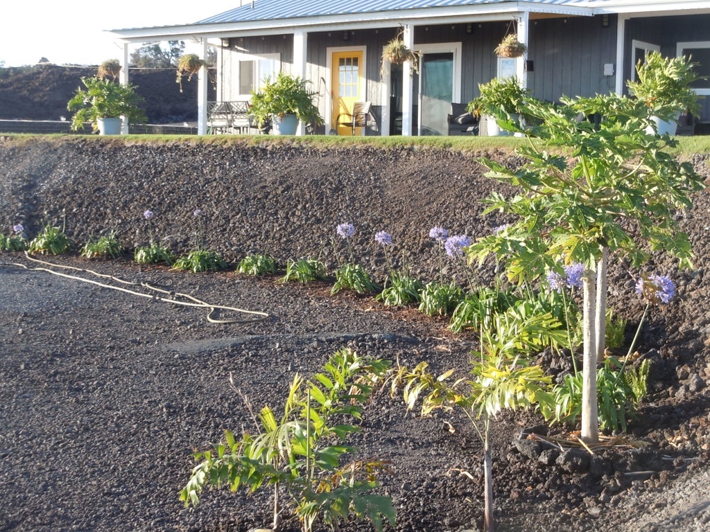 92-8344 Hibiscus Dr, Ocean View