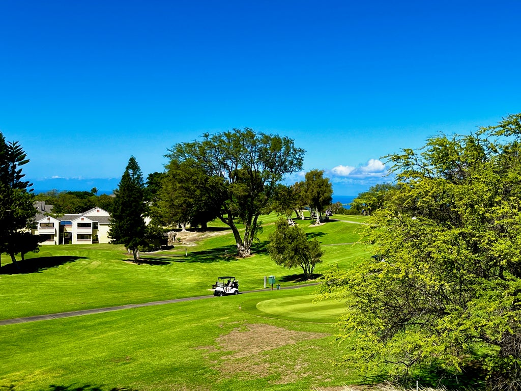 68-3868 Paniolo Ave C201, Waikoloa