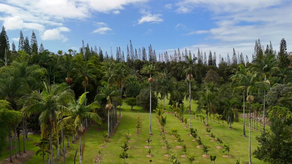 29-3707 Kanna Road, Hakalau