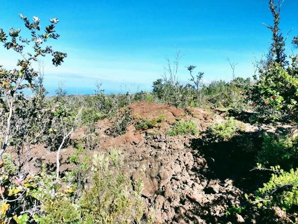 Koa Ln, Ocean View